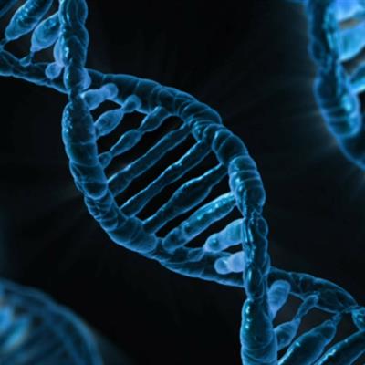 Ancient DNA 101: What You Need to Know to Establish a Successful Project